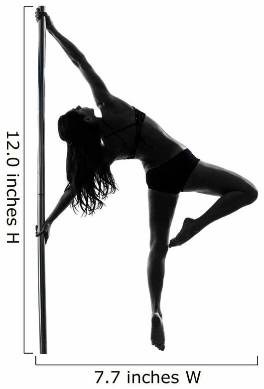 woman pole dancer silhouette