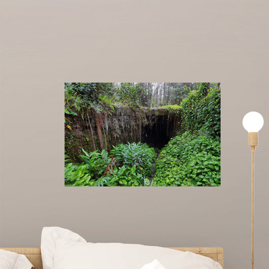 Entrance of one of two Kaumana caves in Big island