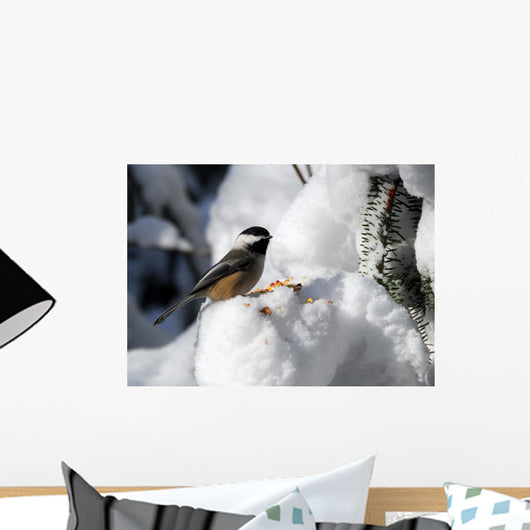 Black-Capped Chickadee Wall Mural