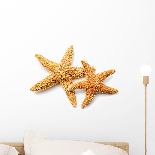 Sea Star