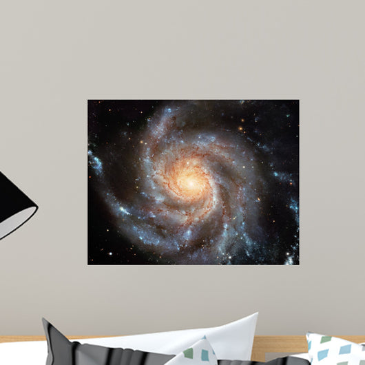 Spiral Galaxy
