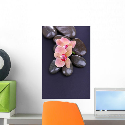 Composition with Beautiful Blooming Orchid with Water Drops and