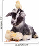 Goat and Chickens