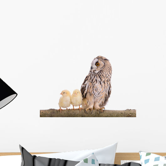Owl with Newborn Chickens Wall Decal