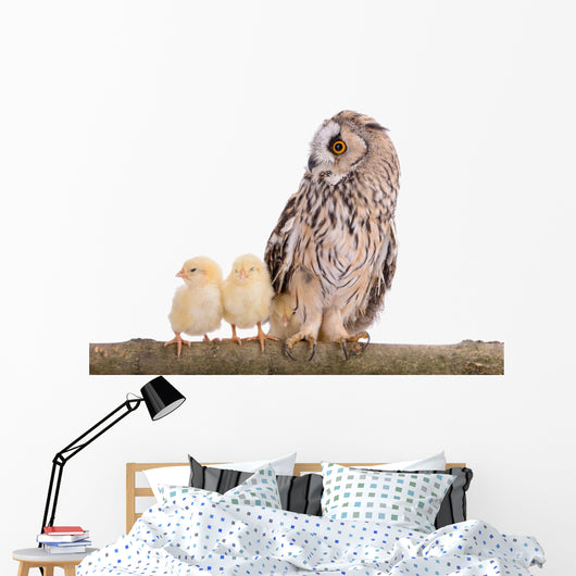Owl with Newborn Chickens Wall Decal