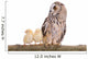 Owl with Newborn Chickens Wall Decal