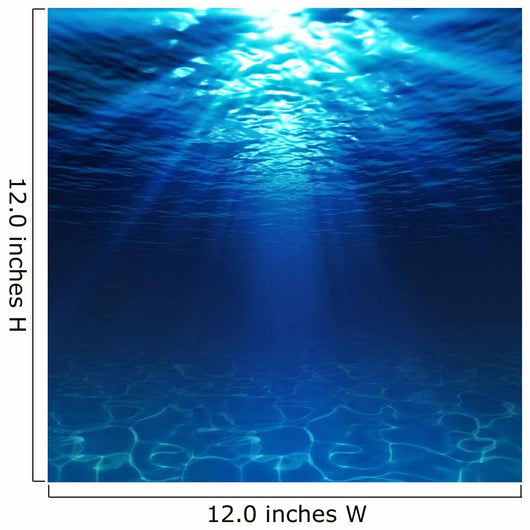 underwater view with sandy seabed