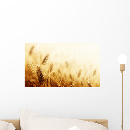 Wheat field