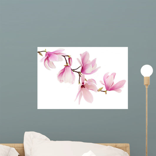 Pink spring magnolia flowers branch