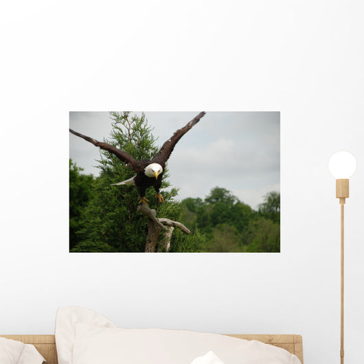 American Bald Head Eagle Wall Mural