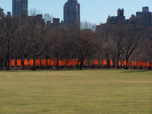 The Gates in Central Park Wall Mural