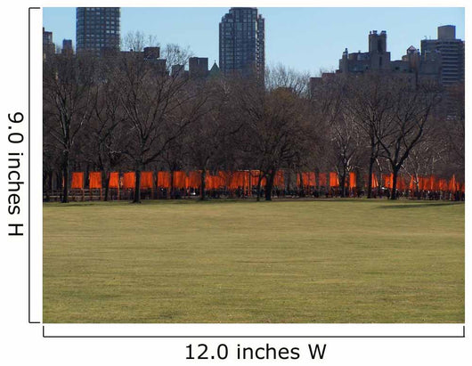 The Gates in Central Park Wall Mural