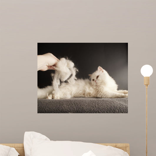 Pet Hair