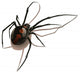 Spider Wall Decal