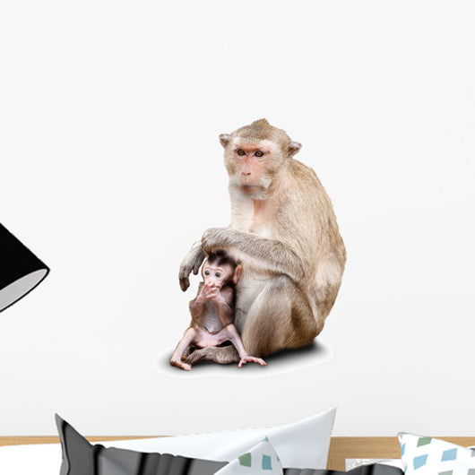 Two Monkeys