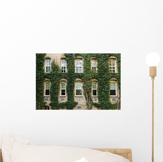 Ivy around windows of Princeton University lecture hall Wall Mural