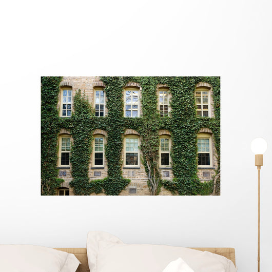 Ivy around windows of Princeton University lecture hall Wall Mural