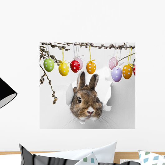 Easter Rabbit Looks Through a Hole