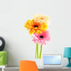 Composition with three gerberas isolated on white