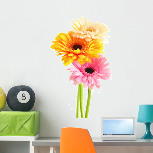 Composition with three gerberas isolated on white