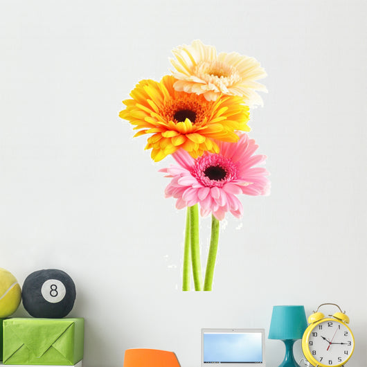 Composition with three gerberas isolated on white