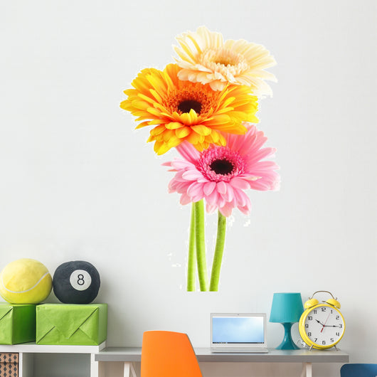 Composition with three gerberas isolated on white
