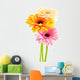 Composition with three gerberas isolated on white
