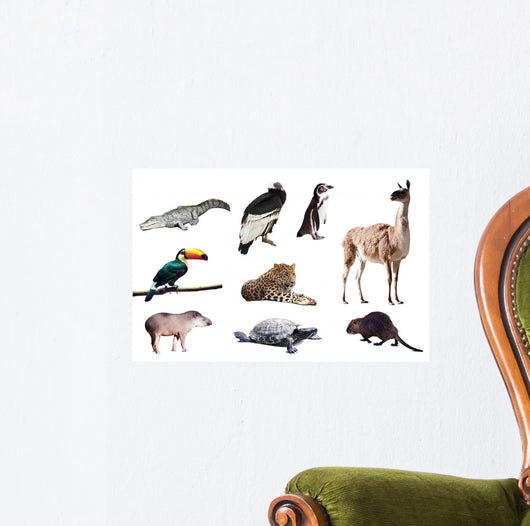 Fauna of South America Wall Decal