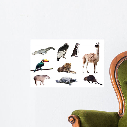 Fauna of South America Wall Decal