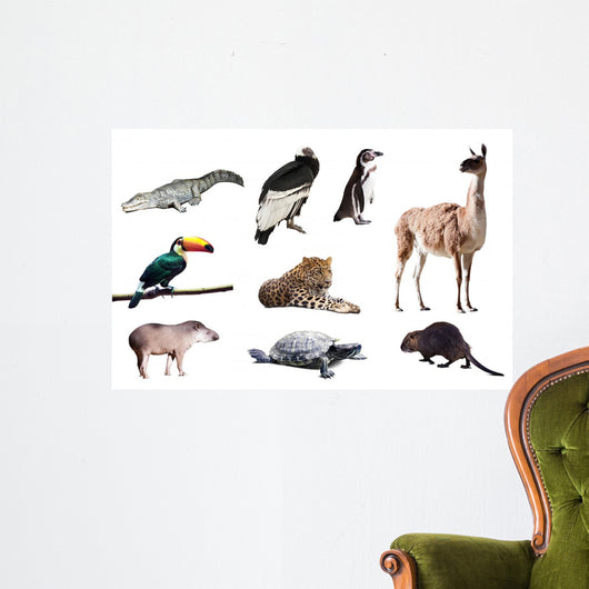 Fauna of South America Wall Decal