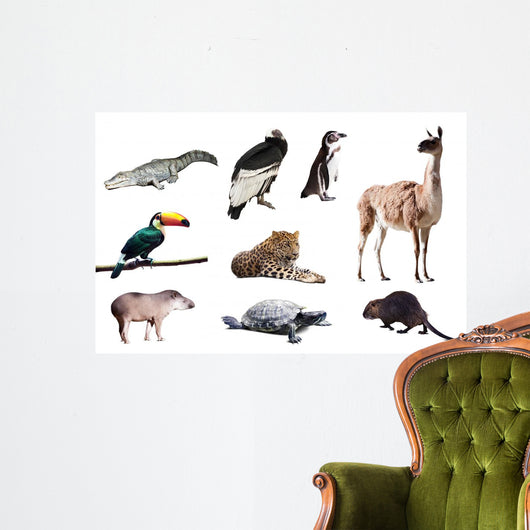 Fauna of South America Wall Decal