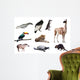 Fauna of South America Wall Decal
