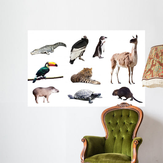 Fauna of South America Wall Decal