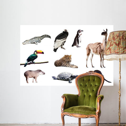 Fauna of South America Wall Decal
