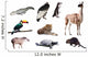 Fauna of South America Wall Decal