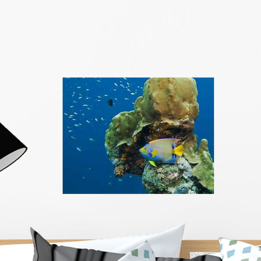 Queen Angel Fish Wall Decal