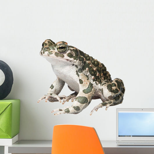 Prince Charming’s Frog Wall Mural