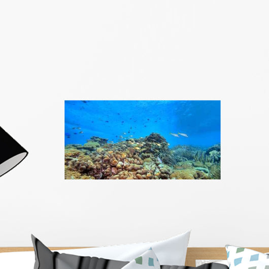 Coral Reef Panoramic Wall Decal