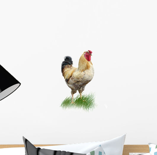 rooster Wall Mural