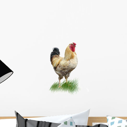 rooster Wall Mural