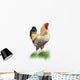 rooster Wall Mural