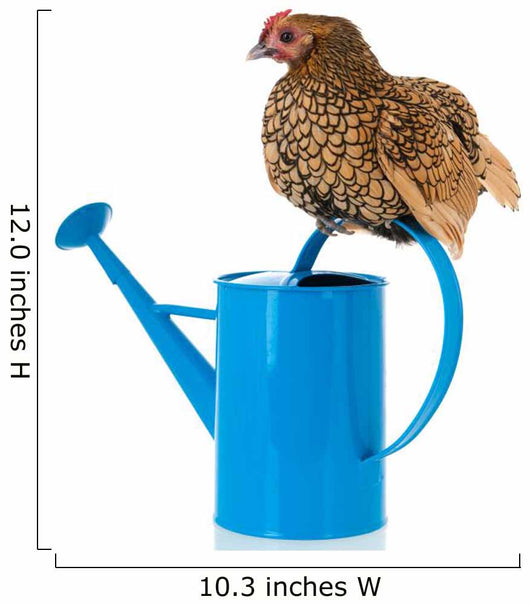 Bantam Chicken on Blue Watering Can Wall Decal
