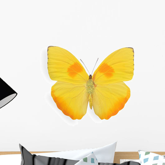 Yellow butterfly isolated on white