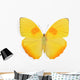 Yellow butterfly isolated on white