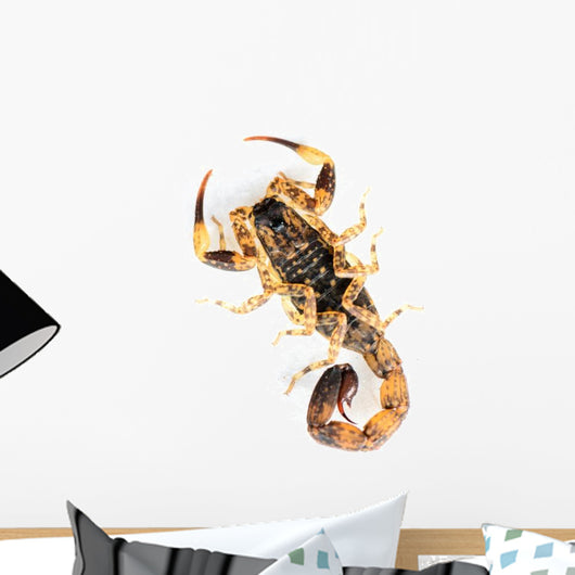 Brown Scorpion Wall Decal