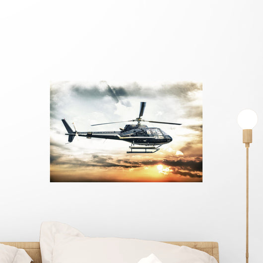 Helicopter for sightseeing