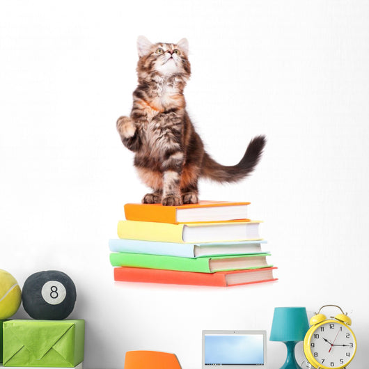 Kitten with books Wall Decal