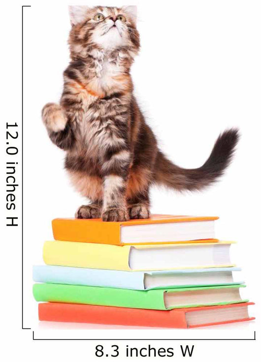 Kitten with books Wall Decal