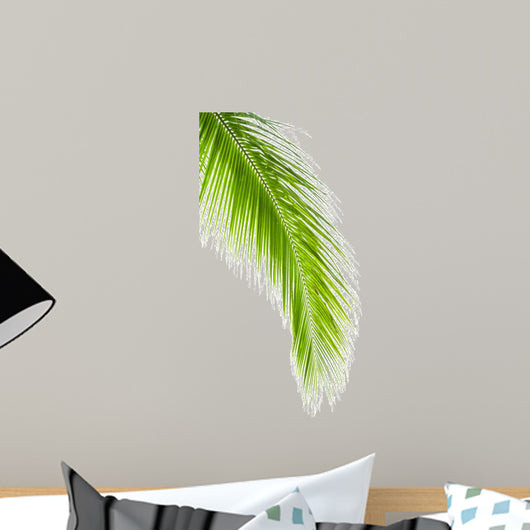 Leaves of Palm Tree