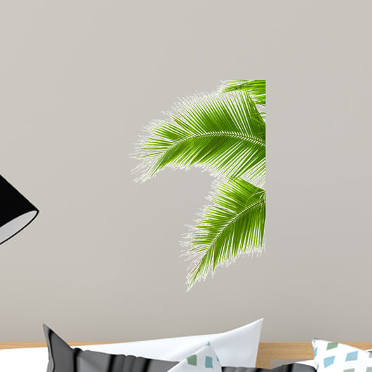 Leaves of palm tree isolated on white background